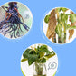🔥🌱2+1 ingyen💧Professzionális tápoldat virágzó cserepes növényekhez