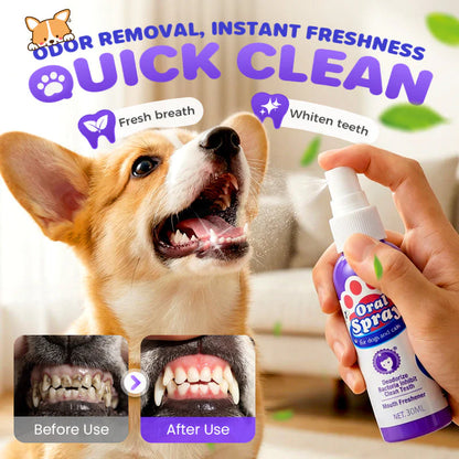 🦷Fogtisztító spray háziállatok számára🐾