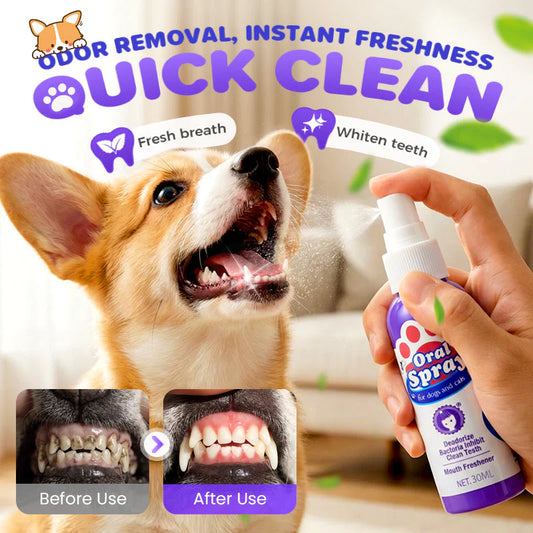 🦷Fogtisztító spray háziállatok számára🐾
