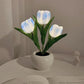 🔥LED Tulip éjszakai lámpa virág asztali lámpa🌷✨