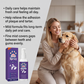 🐾 Frissítse kedvence leheletét azonnal – Természetes szájspray kutyáknak és macskáknak – Utánvétes 🦷💨