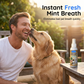 🦷 2+1 INGYEN! 🐾 Fogmosás nélküli állatfogápoló spray – Frissíti a leheletet és csökkenti a fogkövet – Könnyen használható, fogmosás nélkül – Kutyák és macskák számára egyaránt biztonságos ✨🐶🐱