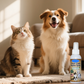 🦷 2+1 INGYEN! 🐾 Fogmosás nélküli állatfogápoló spray – Frissíti a leheletet és csökkenti a fogkövet – Könnyen használható, fogmosás nélkül – Kutyák és macskák számára egyaránt biztonságos ✨🐶🐱