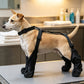 🐾Vízálló esés ellen védő kutyacipő állítható hámpánttal🌧️